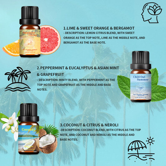 Six 10ml essential oil bottles from the set displayed together