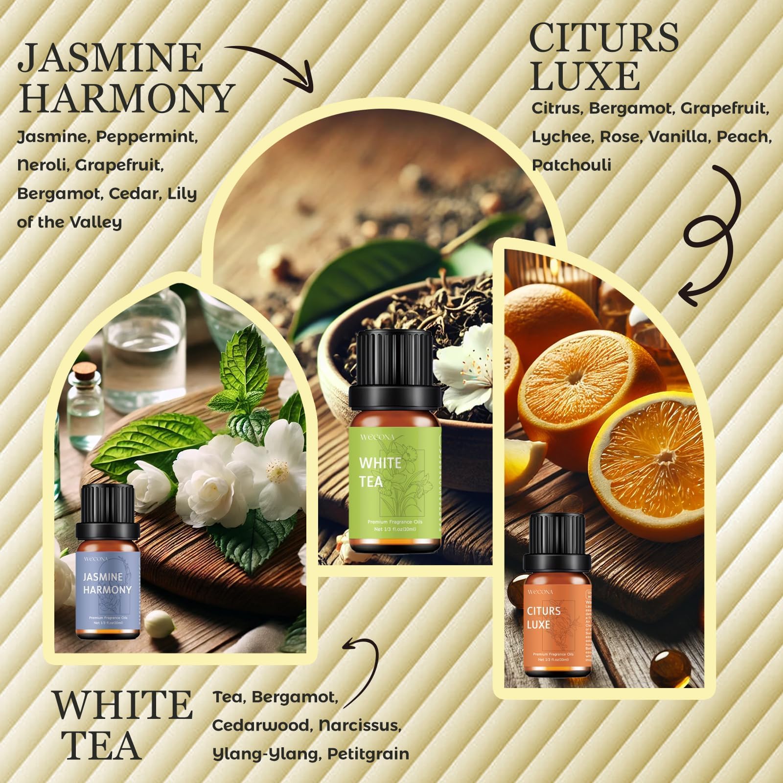 Six premium essential oils: White Tea, Citrus Luxe, Velvet Night, Verdant Citrus, Jasmine Harmony, Meadow Bliss
