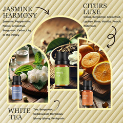 Six premium essential oils: White Tea, Citrus Luxe, Velvet Night, Verdant Citrus, Jasmine Harmony, Meadow Bliss