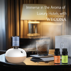 Whisper-quiet diffusion and safe waterless technology in use