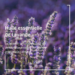 Lifestyle shot with lavender flowers and the body oil
