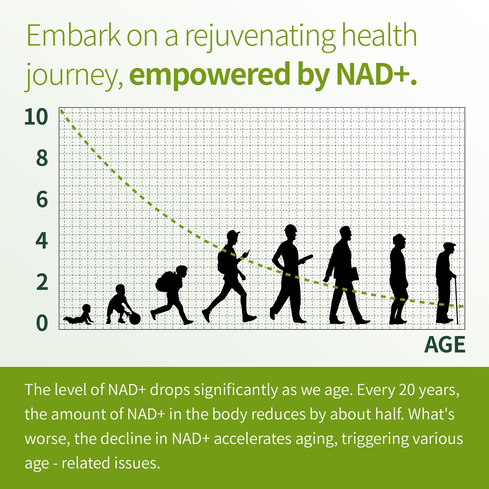 Graphic showing energy and brain health support