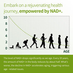 Graphic showing energy and brain health support