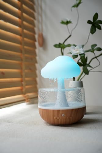Weljoy Zen Raining Cloud Night Light Diffuser white color option