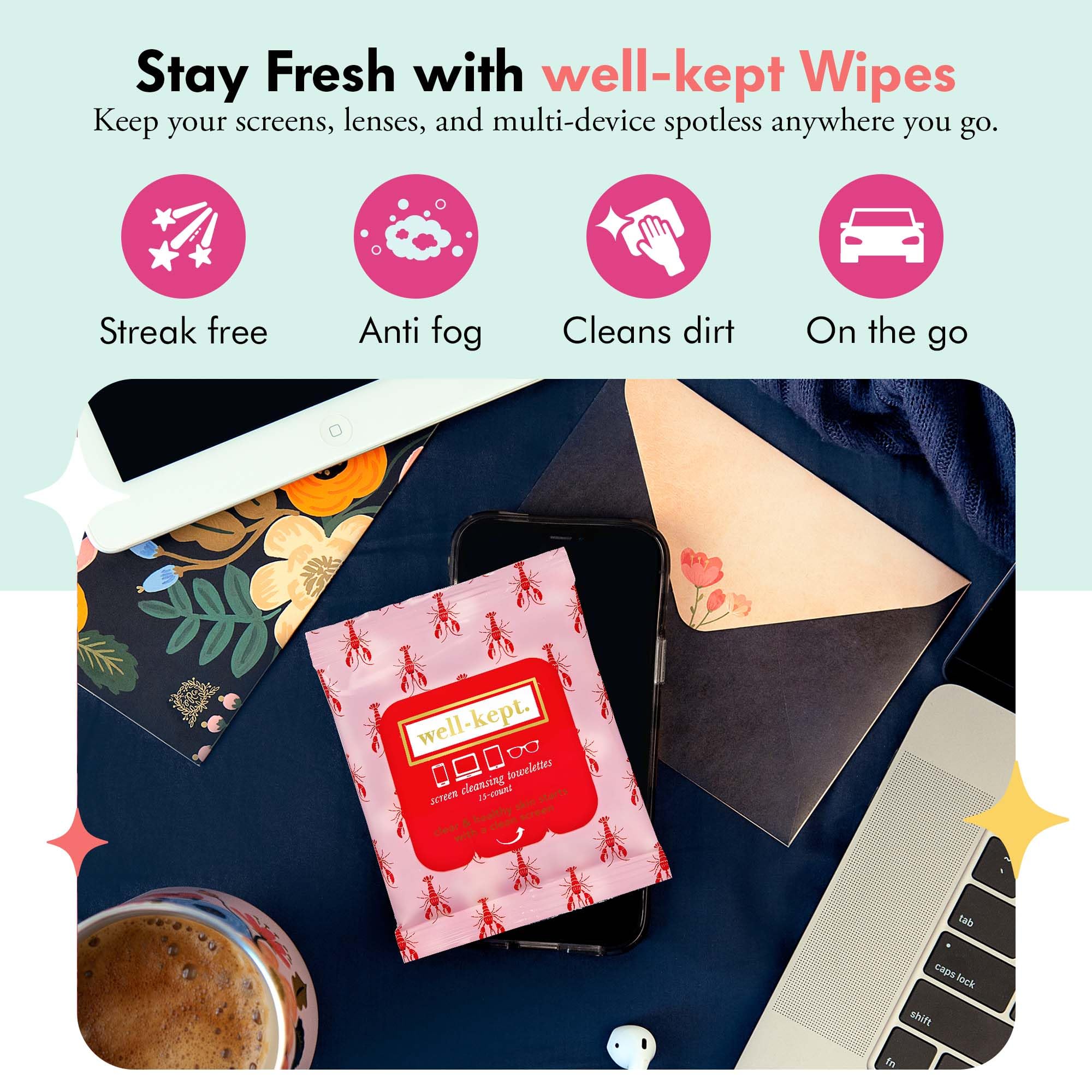 Back of Well-Kept Wipes 12-pack packaging