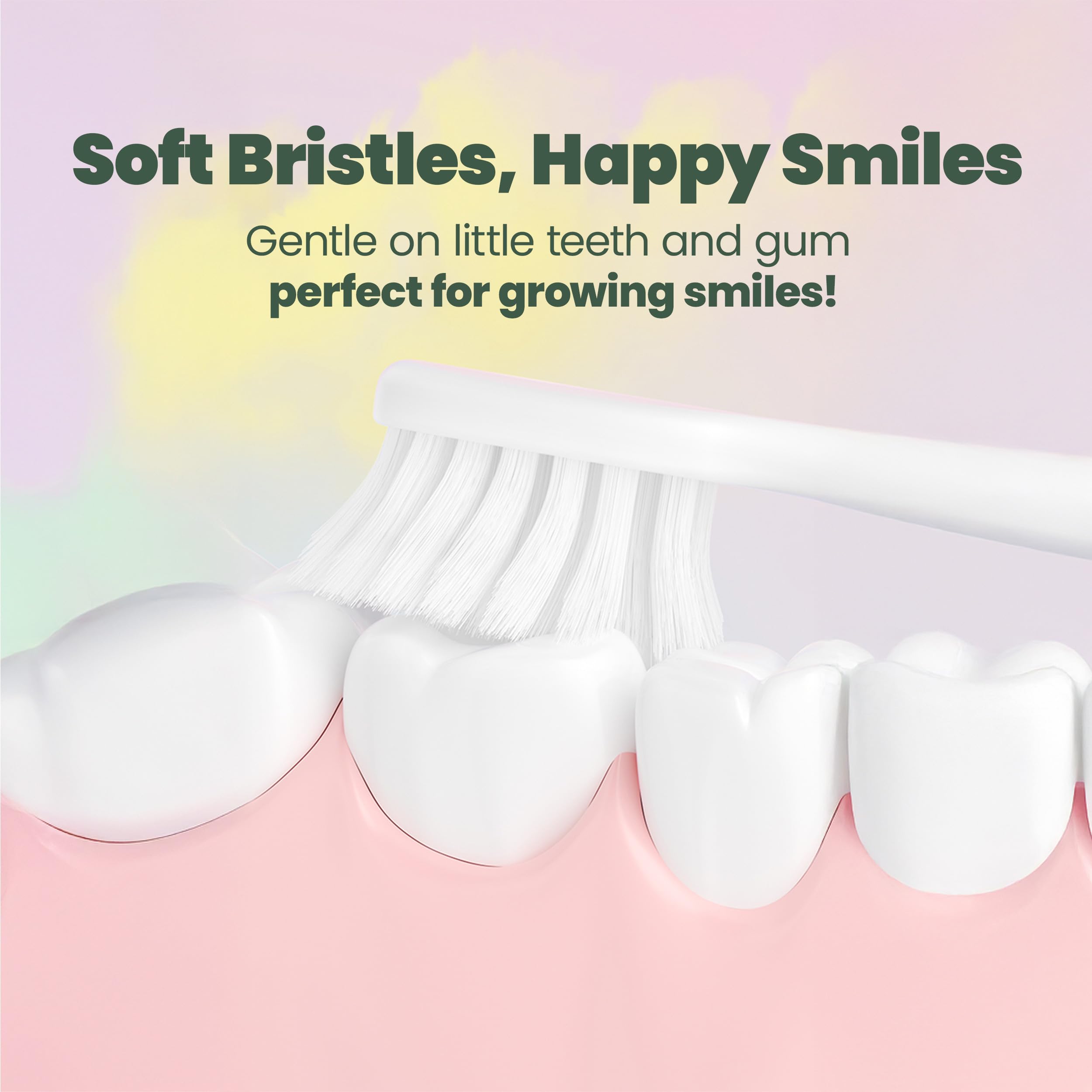 BPA-free and phthalate-free materials with rounded bristle tips