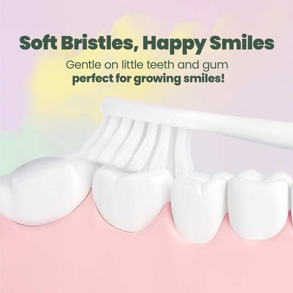 BPA-free and phthalate-free materials with rounded bristle tips