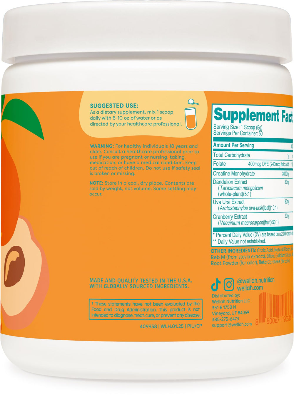 Ingredient panel showing creatine monohydrate with dandelion, uva ursi, and cranberry extract