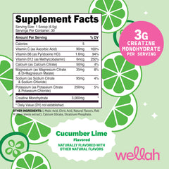 Nutrition label for Wellah Creatine + Hydration Powder Cucumber Lime