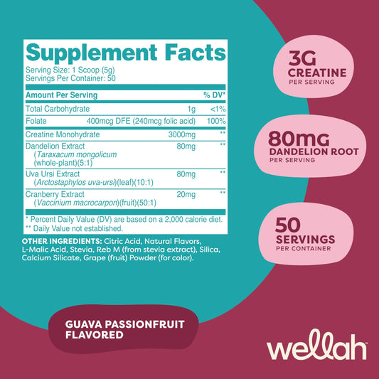 Close-up of ingredients including creatine monohydrate, dandelion, uva ursi, and cranberry extract