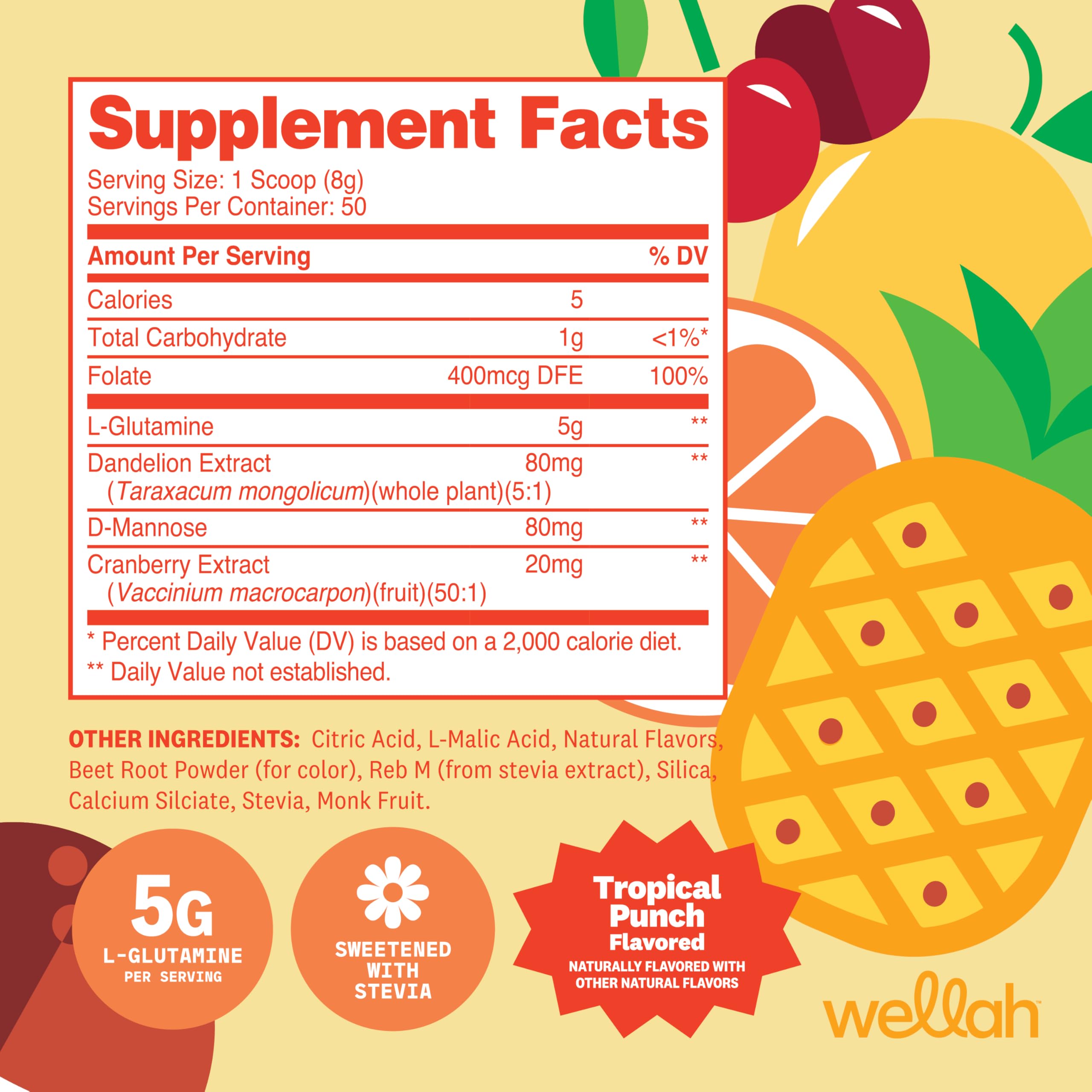 Back of Wellah L-Glutamine Powder Tropical Punch bottle with nutritional information