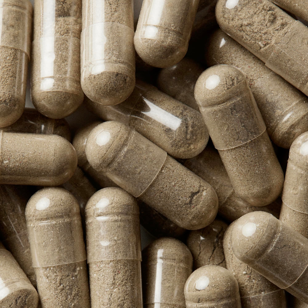 Capsules of WELLBEL Women supplement
