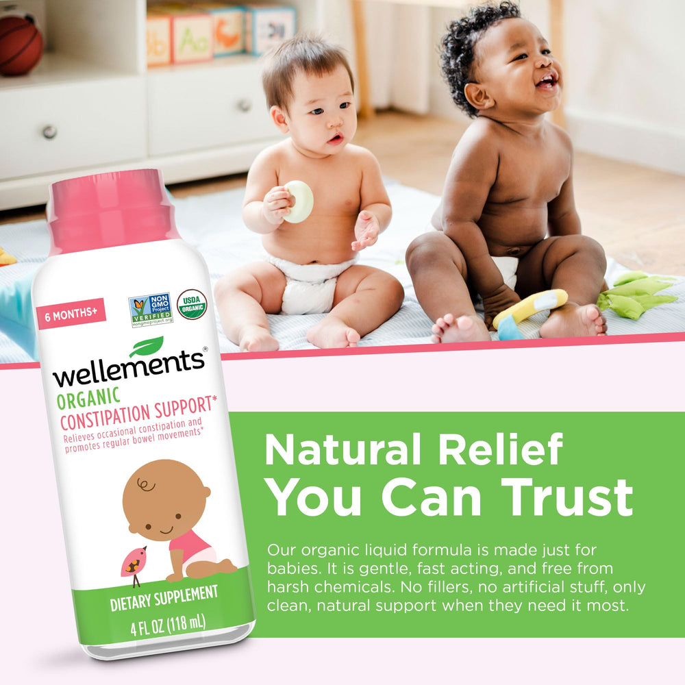 Wellements chicory root fiber visual highlights a prebiotic option