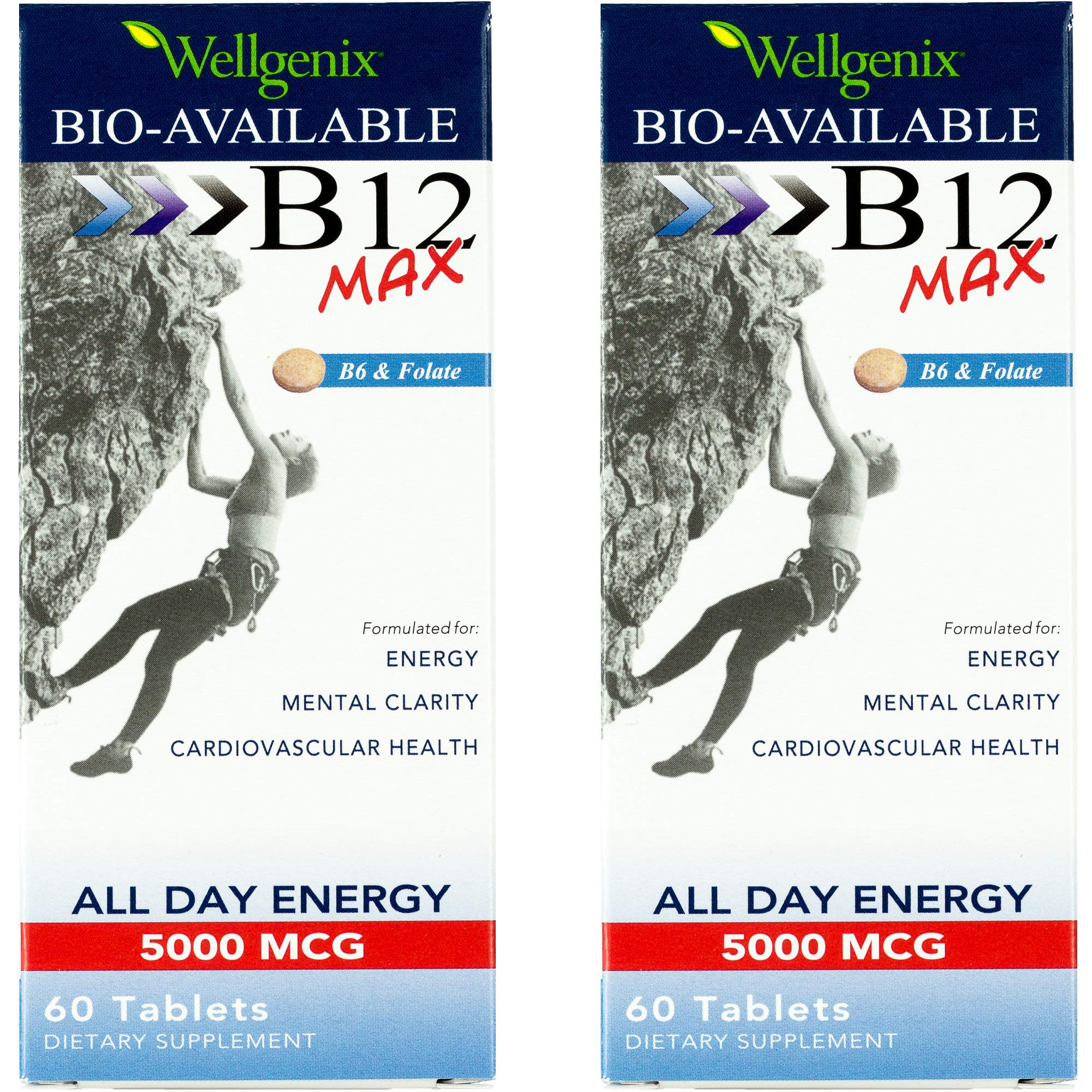 Wellgenix Bio-Available Sublingual B12 Max bottle front label
