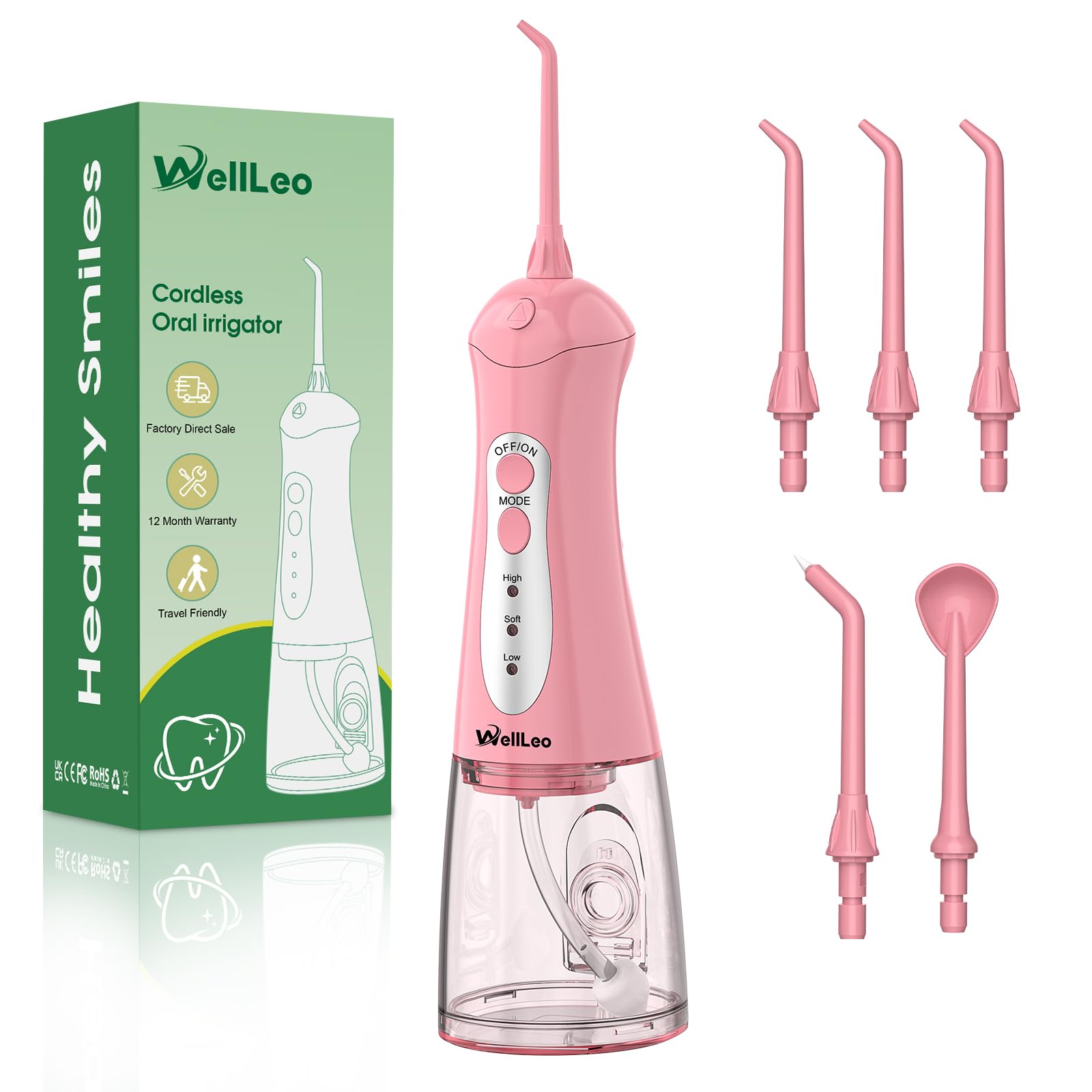 WellLeo Water Flosser device with attached precision nozzle