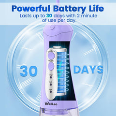 Five jet tips included with WellLeo Water Flosser