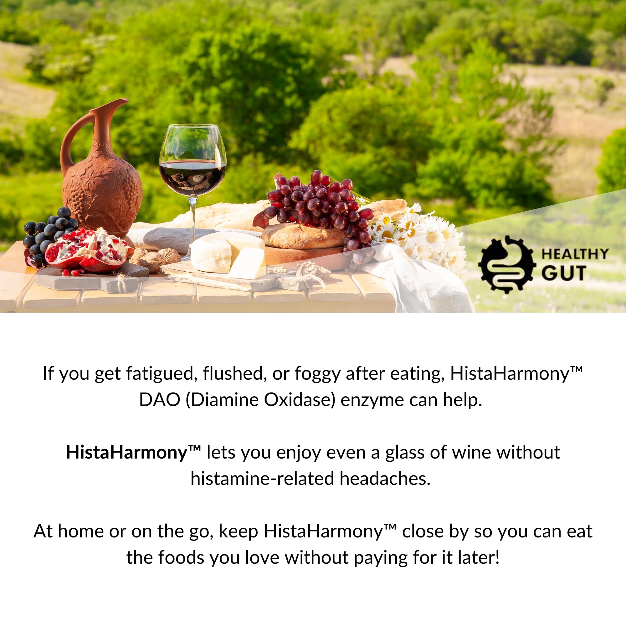 Digestive health and wellness concept hero image