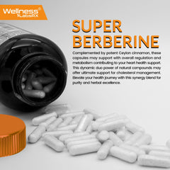 WELLNESS LABSRX bottle on kitchen counter suggesting daily wellness routine