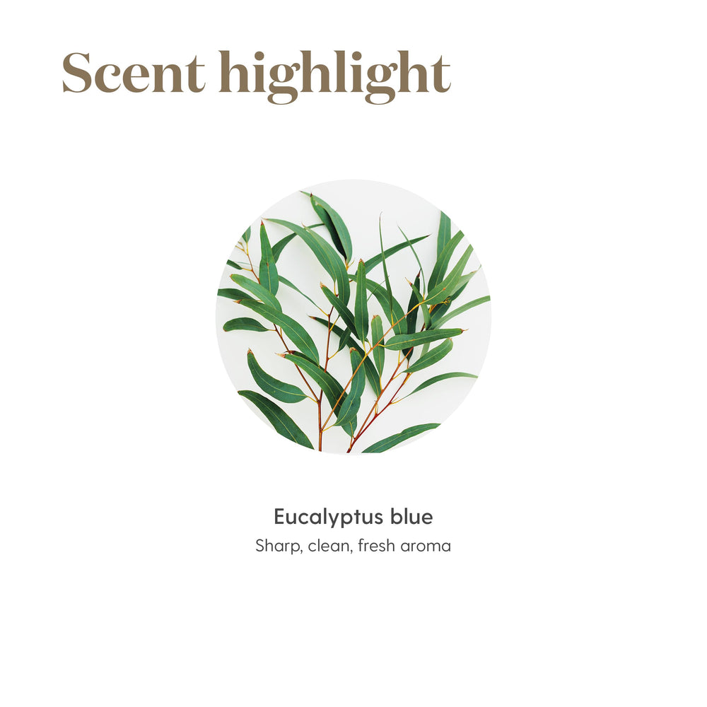 Spa-like wellness scene featuring eucalyptus aroma