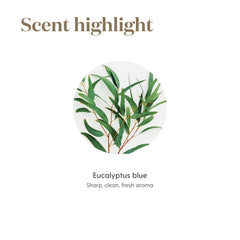 Spa-like wellness scene featuring eucalyptus aroma