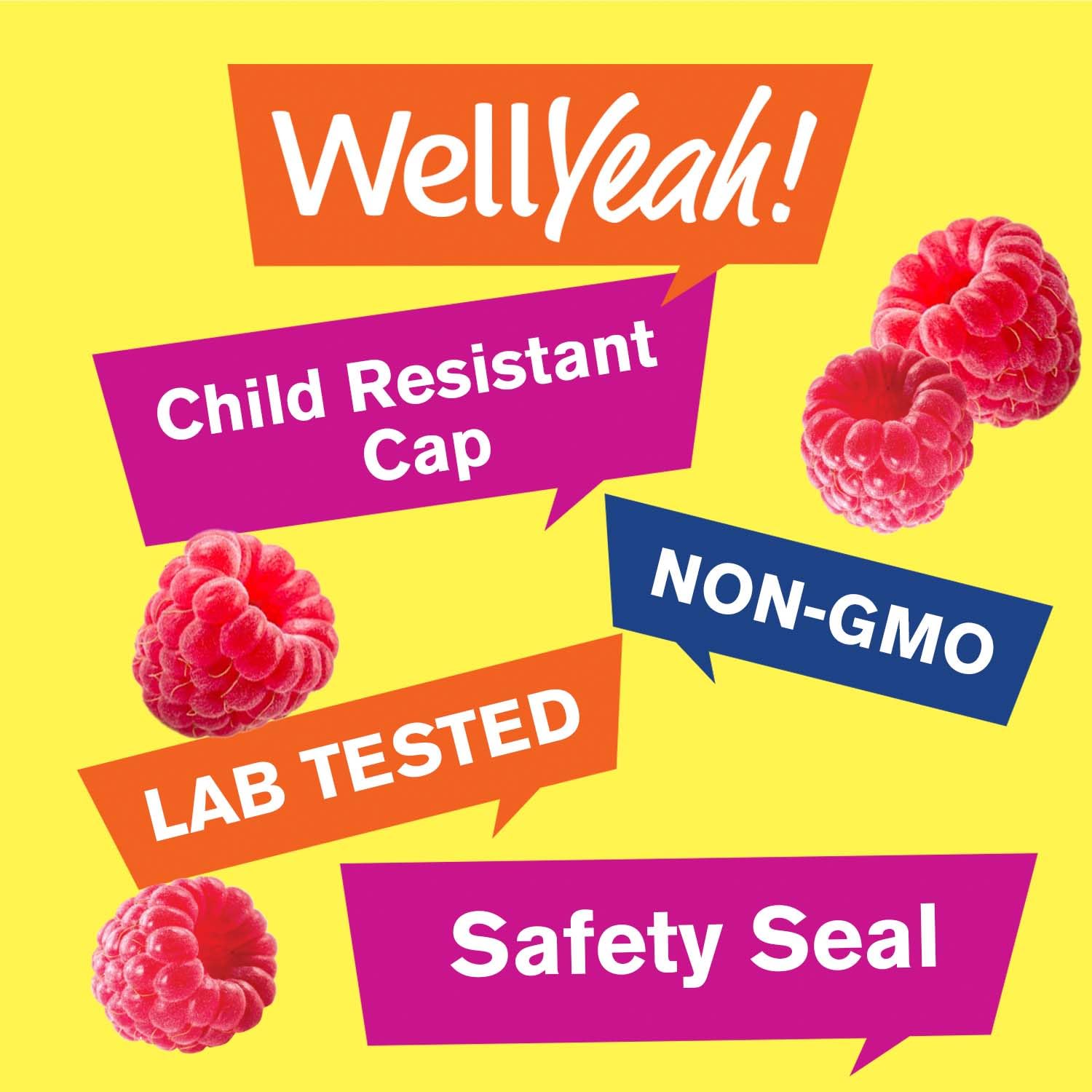 WellYeah Biotin 10000 mcg Gummies Berry nutrition label