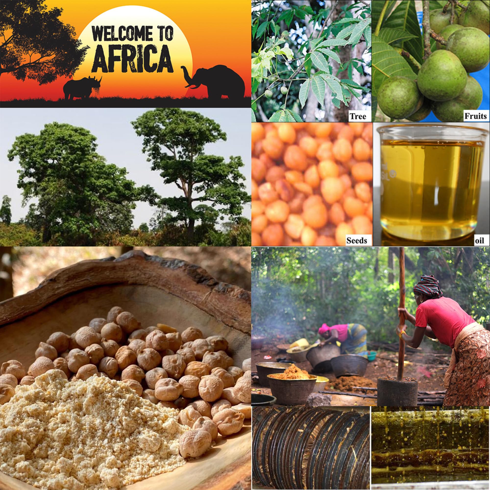 Close-up of Akpi seeds and plant oils used in the blend