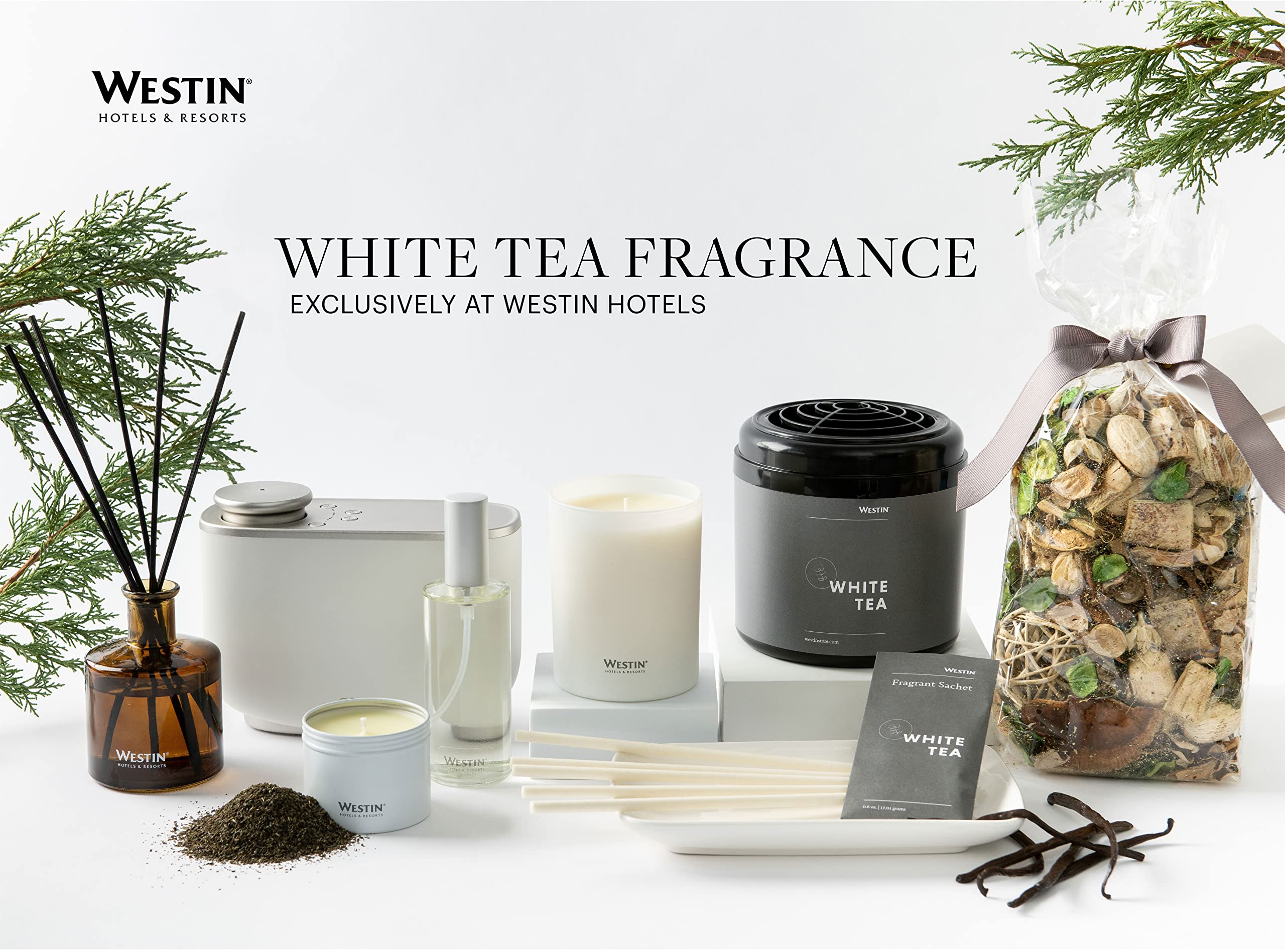 Westin Hotel Aroma Collection branding and logo