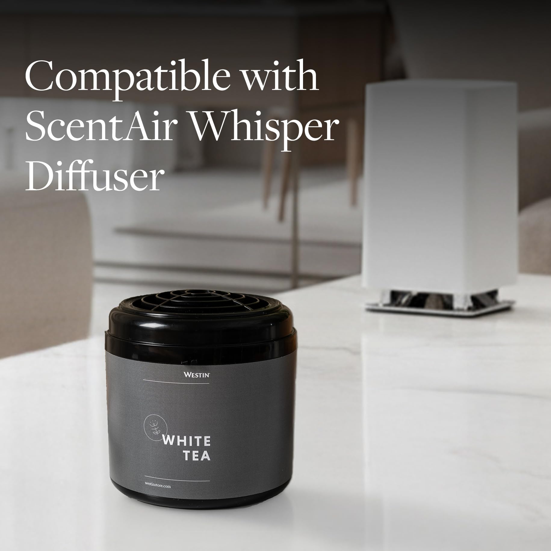 Care and replacement instructions for Westin diffuser