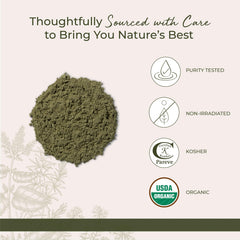 Wheatgrass powder rich in vitamins A, C, E, K and minerals