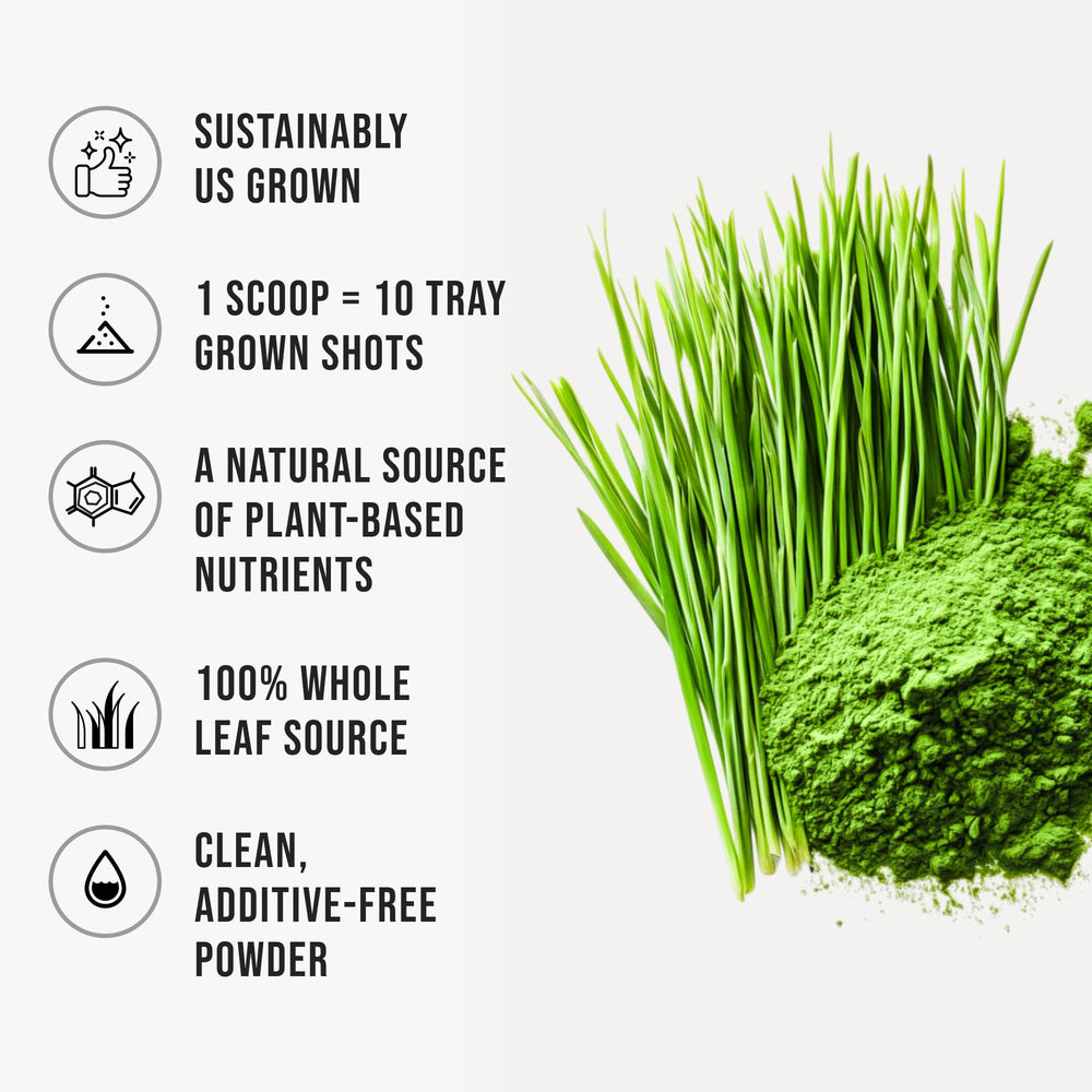 Nutrition information for wheatgrass powder
