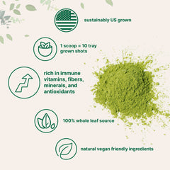 Wheatgrass powder ingredients showing fiber, minerals, protein and amino acids