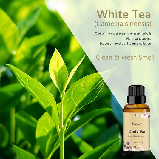 Close-up of White Tea Essential Oil bottle label and dropper