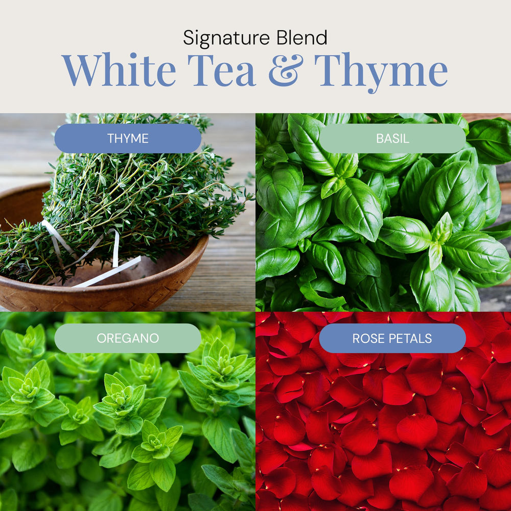 Diffuser emitting scent from White Tea & Thyme blend