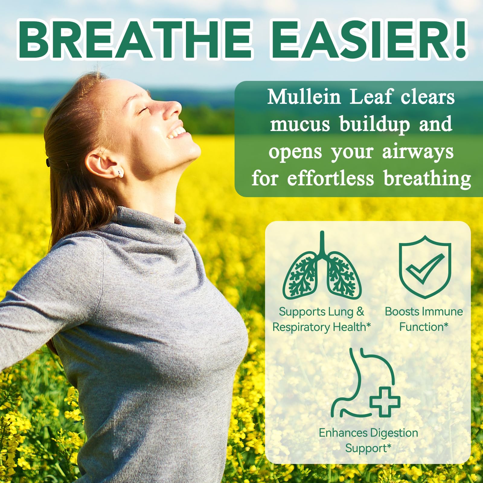 WHLH & Well-Being Mullein Leaf Gummies 2-Pack packaging back