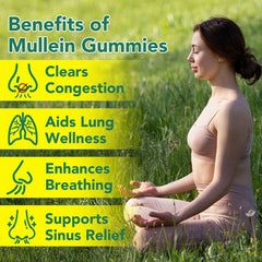 Bottle and packaging of WHLH & Well-Being Mullein Leaf Gummies