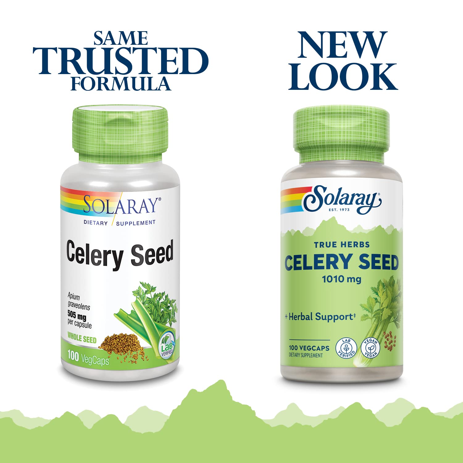 Whole celery seeds used in the Celery Seed formula