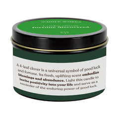 Whole Works Biodegradable wax no dyes candle emphasizes eco-friendly, clean burning experience.