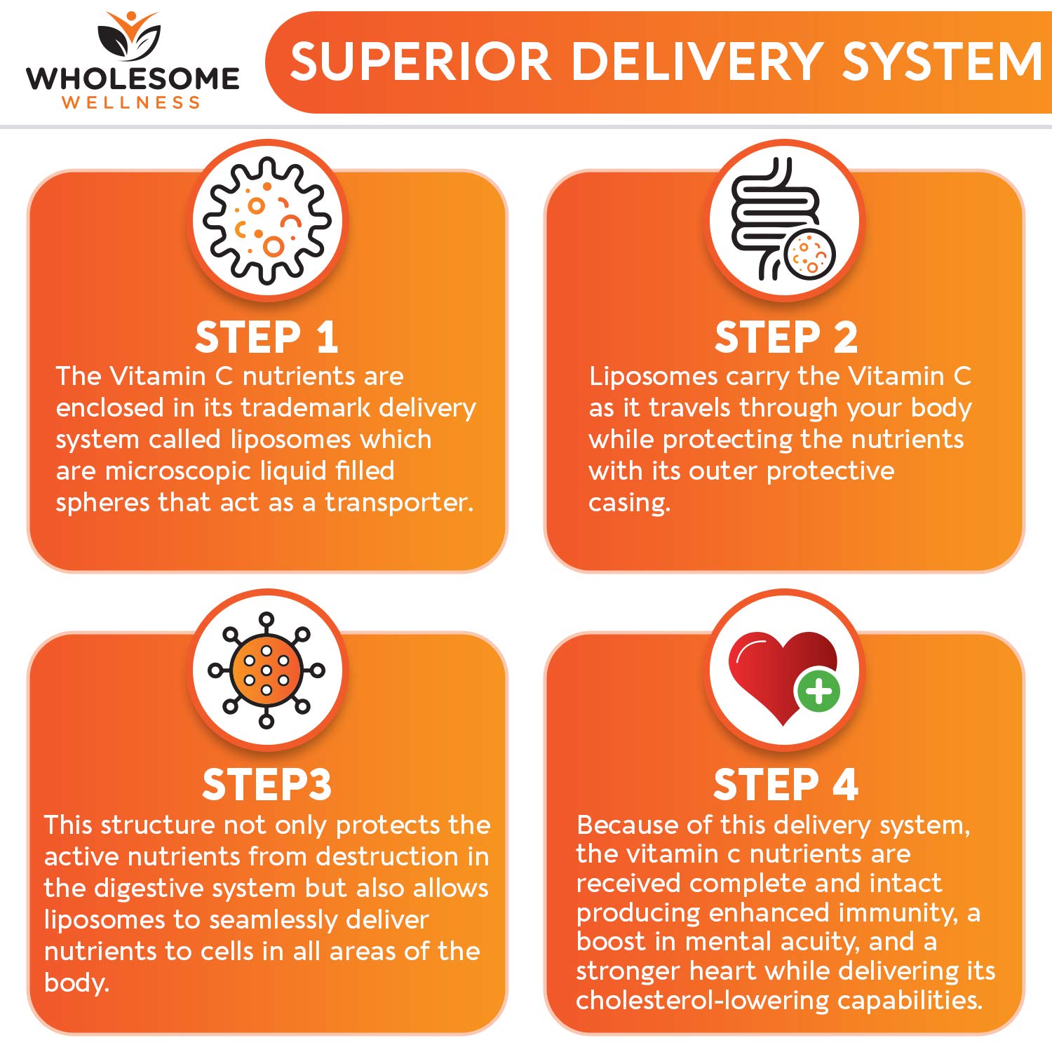 Immune support and antioxidant benefits of liposomal vitamin C