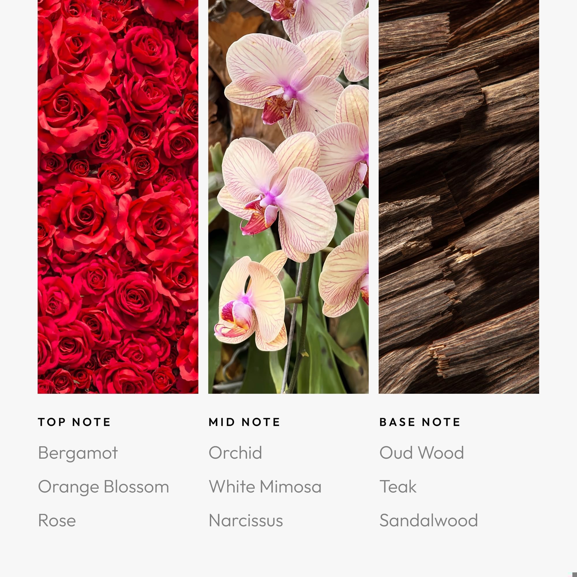 Lifestyle scene featuring Aroma360 Wicked Game Pro Pod 50ML in a decorative space