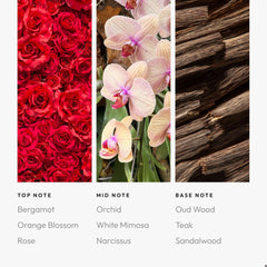 Lifestyle scene featuring Aroma360 Wicked Game Pro Pod 50ML in a decorative space