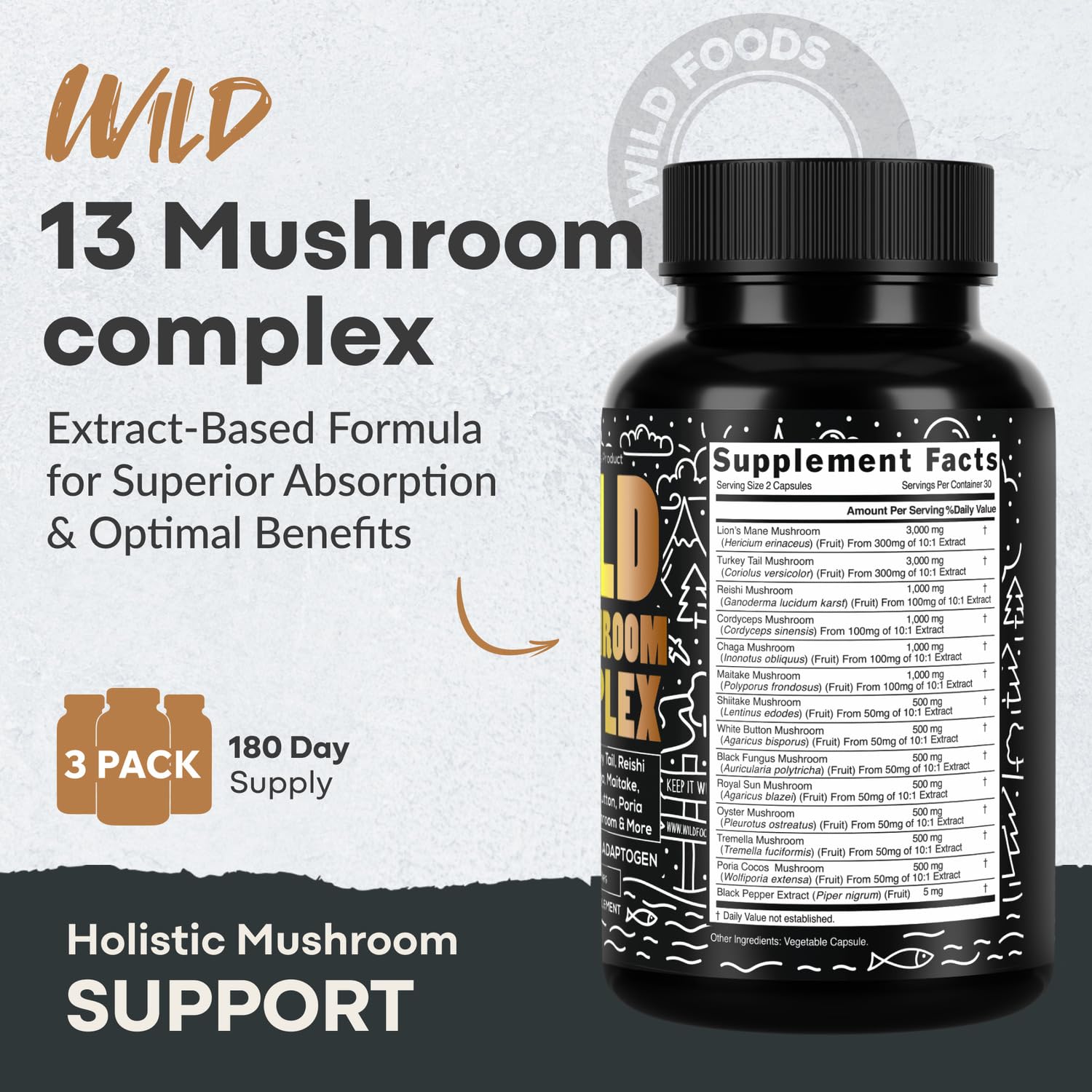 Cordyceps and Reishi mushrooms highlighting energy support