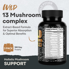 Assorted organic mushrooms including Reishi, Turkey Tail, Chaga and Shiitake