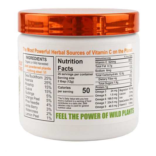 Sea Buckthorn fruit – rich in vitamin C and essential fatty acids