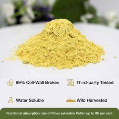 Wild harvested pine pollen trees in China