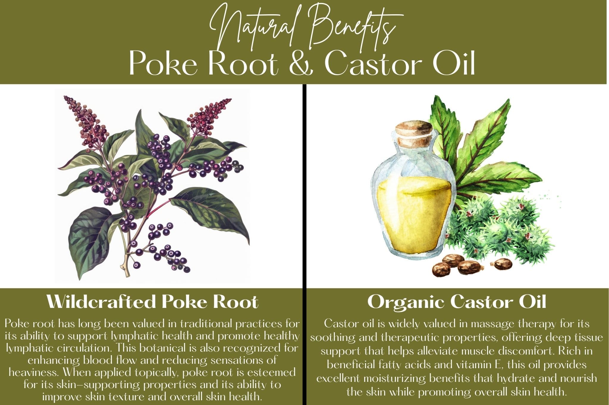 Wild-harvested poke root as an ingredient
