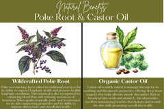 Wild-harvested poke root as an ingredient