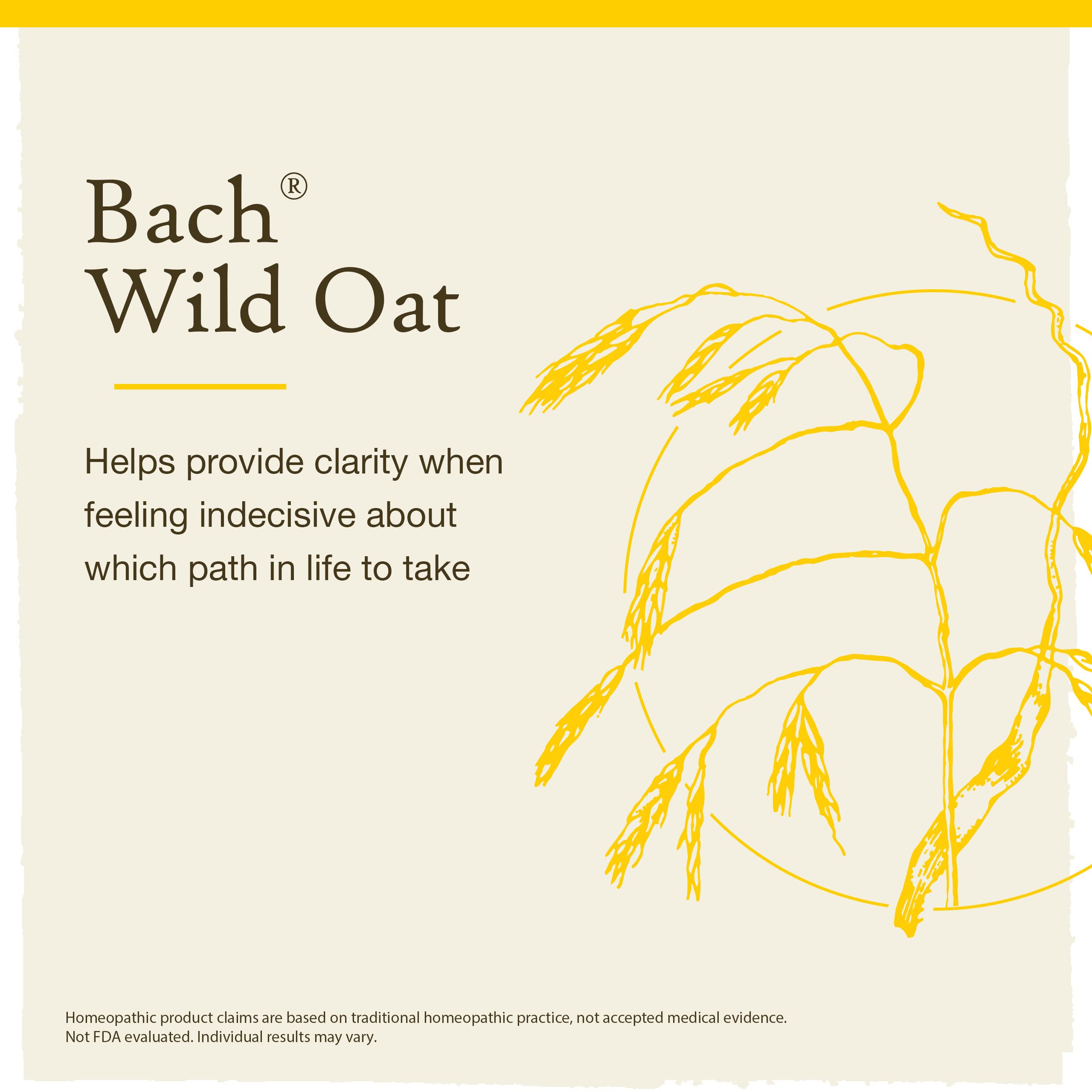 Wild Oat flower remedy bottle with packaging