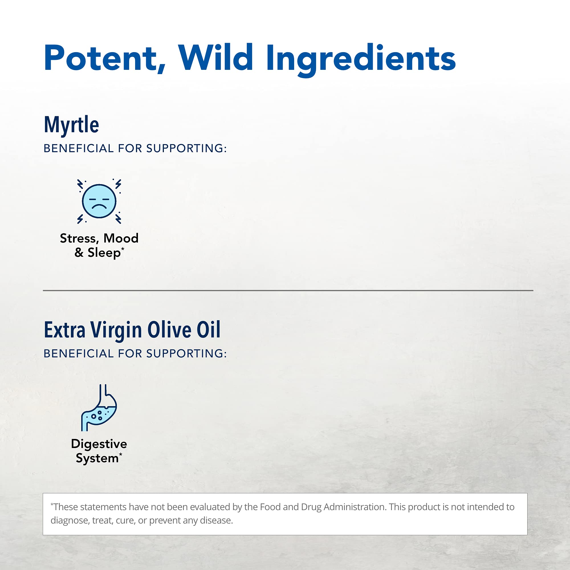 Brand label for North American Herb & Spice Wild Oil of Myrtle
