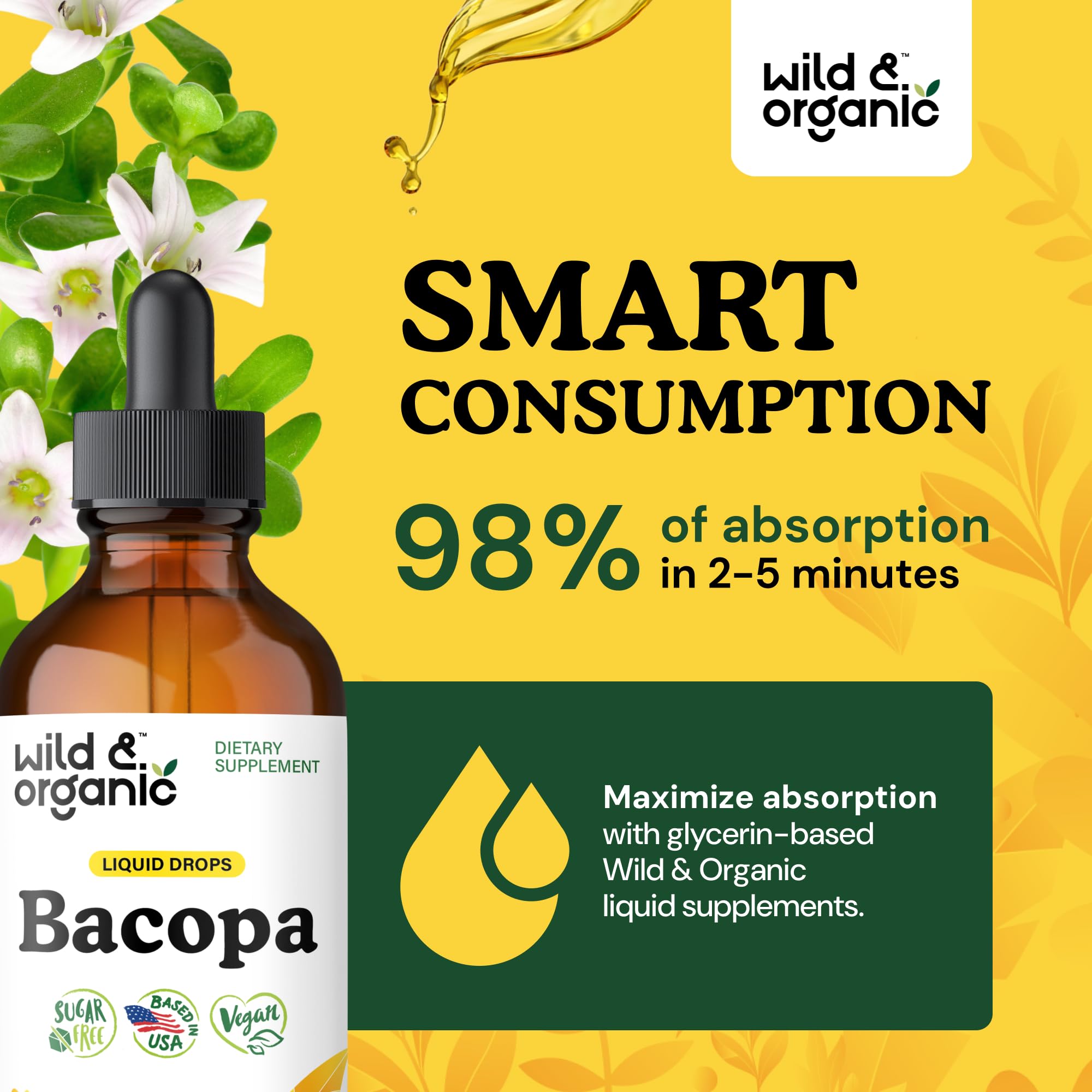 Bacopa monnieri extract ingredient panel
