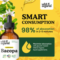 Bacopa monnieri extract ingredient panel